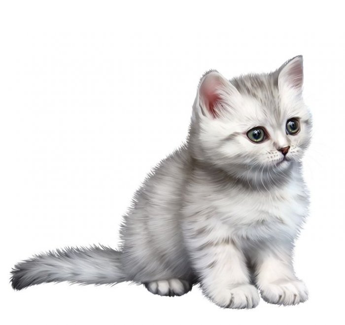Кошки