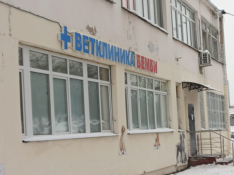 Ветеринарный врач нефролог на Каховке.