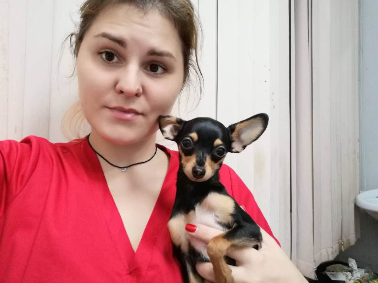 Ветеринарный врач дерматолог в Ясенево.