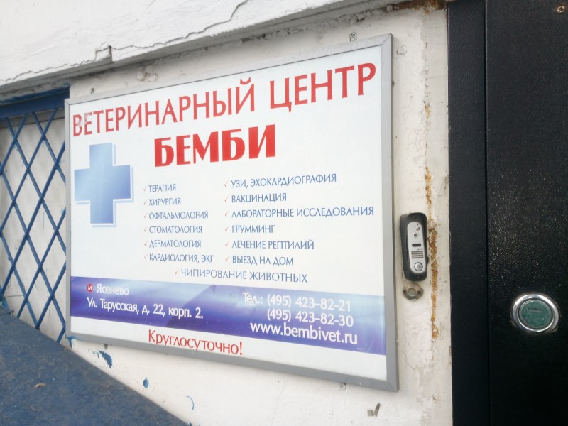 Ветеринарный врач ратолог в Ясенево.