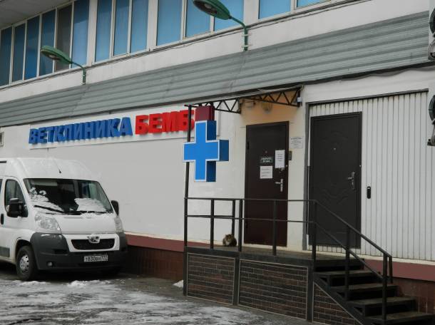 Ветеринарная клиника в Северном Чертаново.