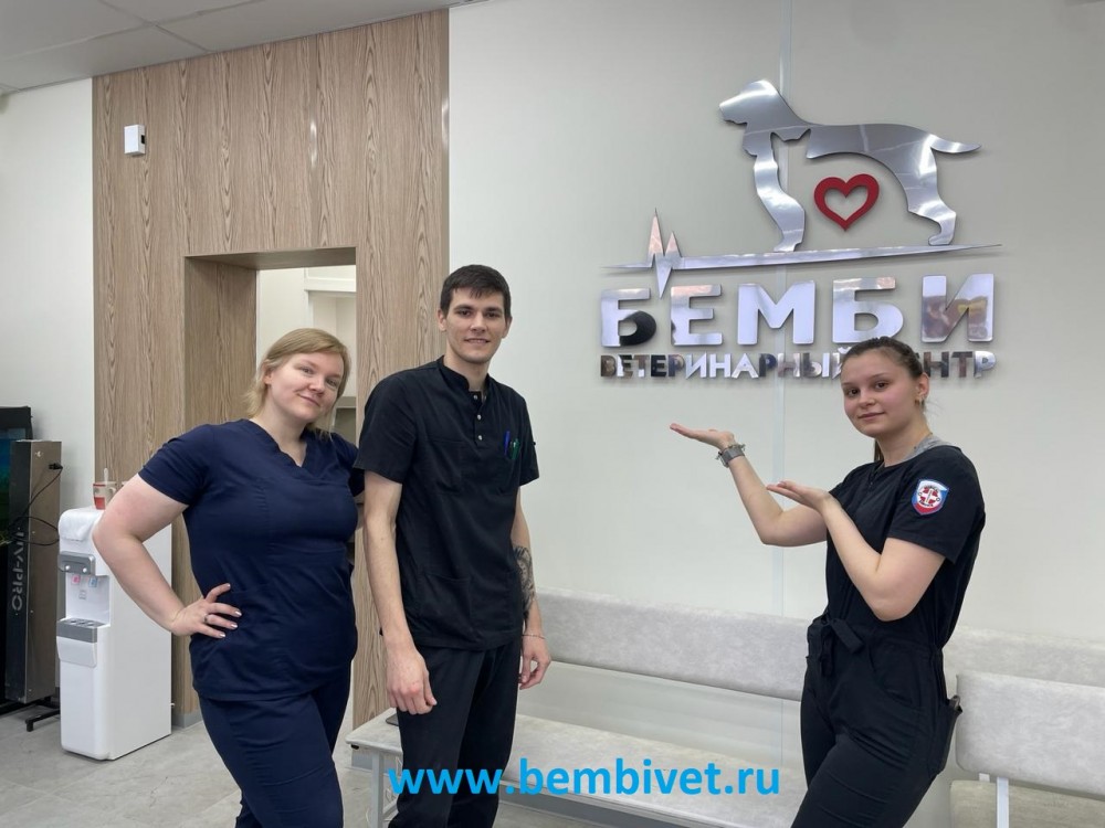 Требуются ветеринарные врачи и ассистенты в ветклинику на Каховке.