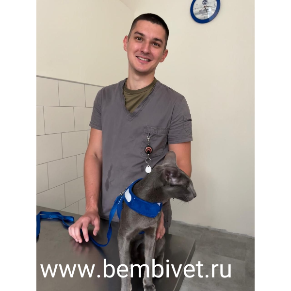Требуются ветеринарные врачи и ассистенты в ветклинику на Каховке.