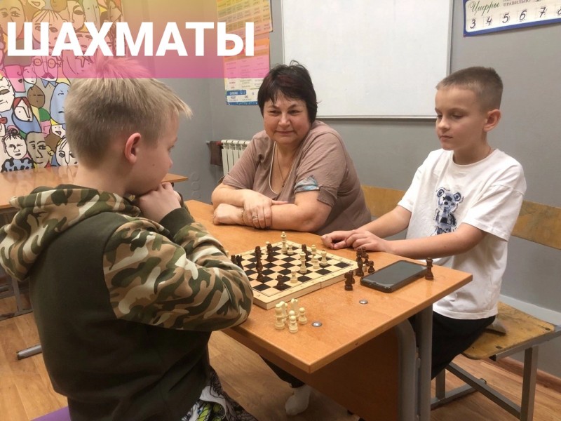 Шахматы