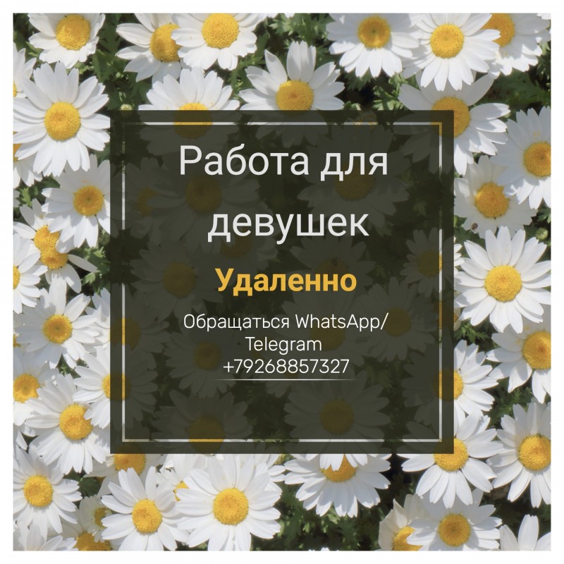 Менеджер в соц. сети