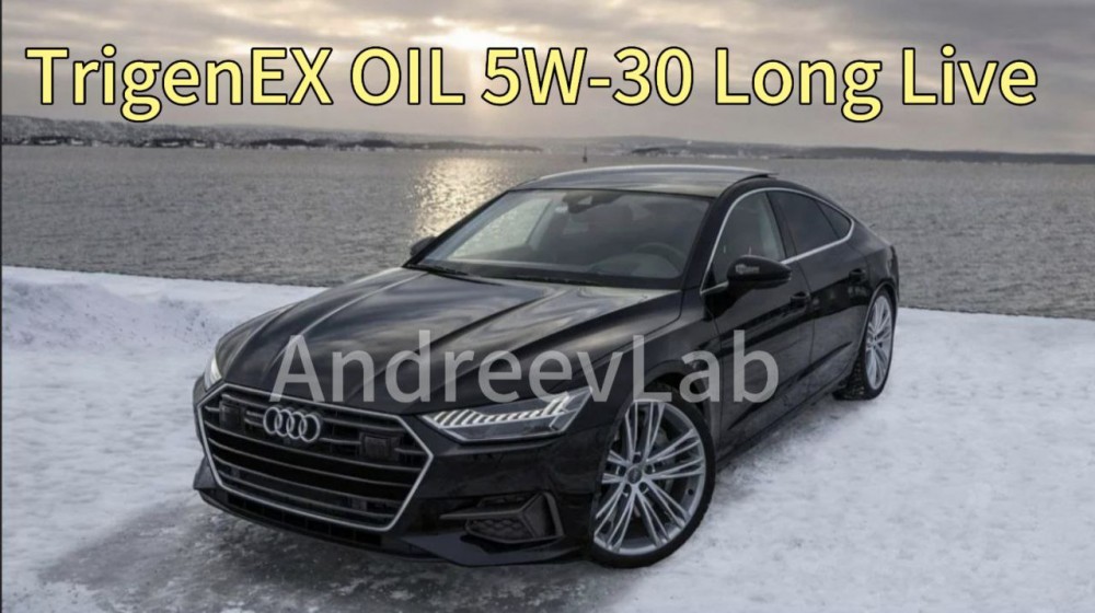 Моторное масло TrigenEX OIL 5W30 Long Live PAO