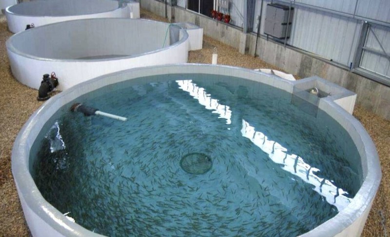 Поменяю емкости из полимер-композитов на СпецТехнику