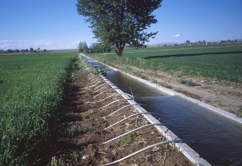 Изготовим лотки для полива