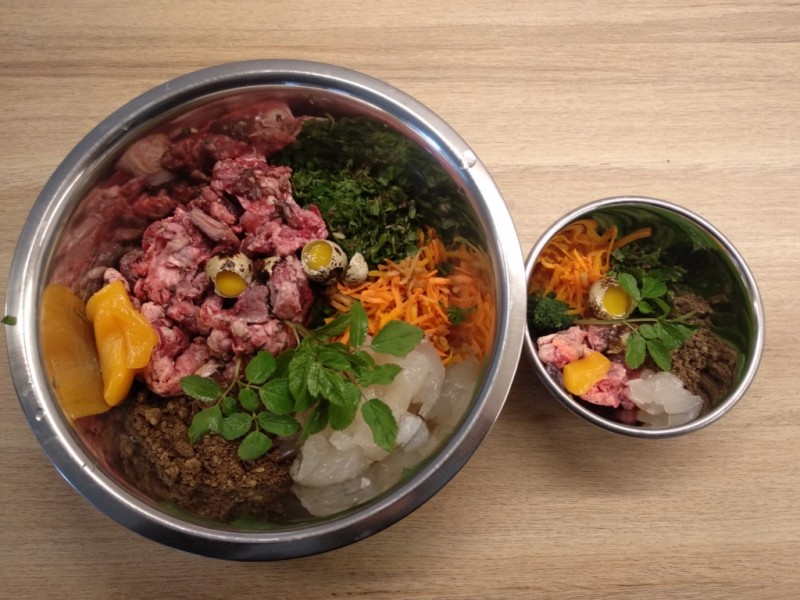 Готовые рационы для собак и кошек