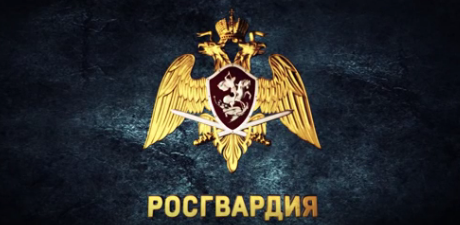 Полицейский и Инспектор Службы