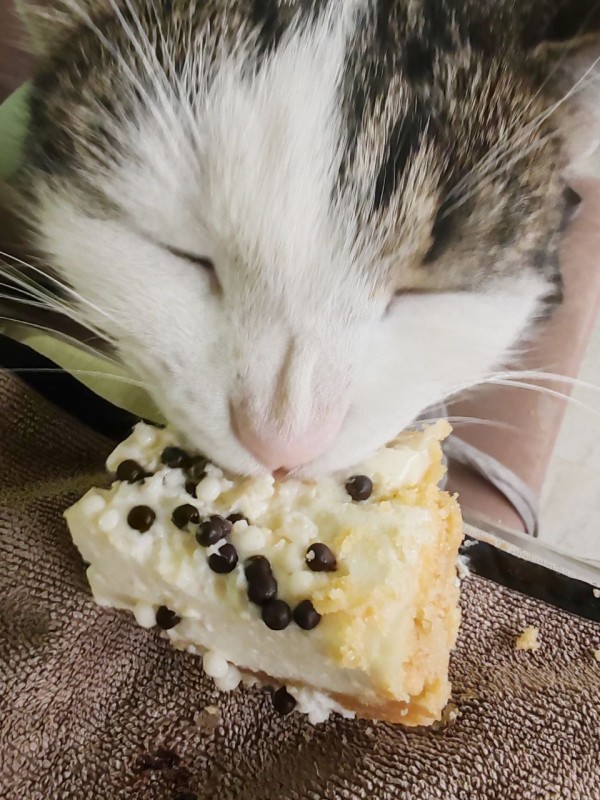 Василий - добрый увалень