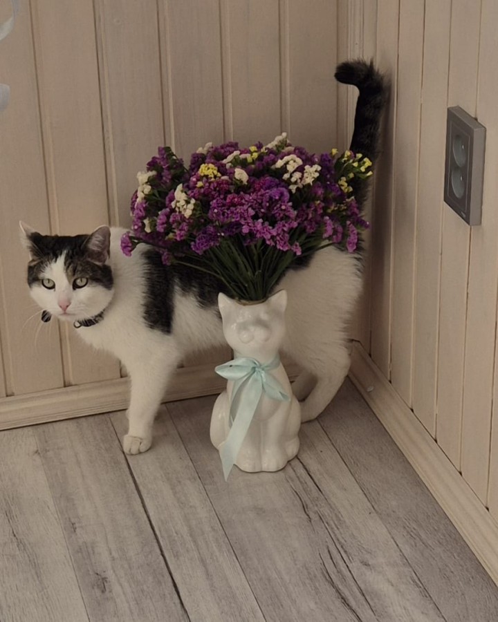 Василий - добрый увалень