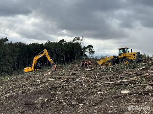 Расчистка территорий от деревьев и пней от 1 Га